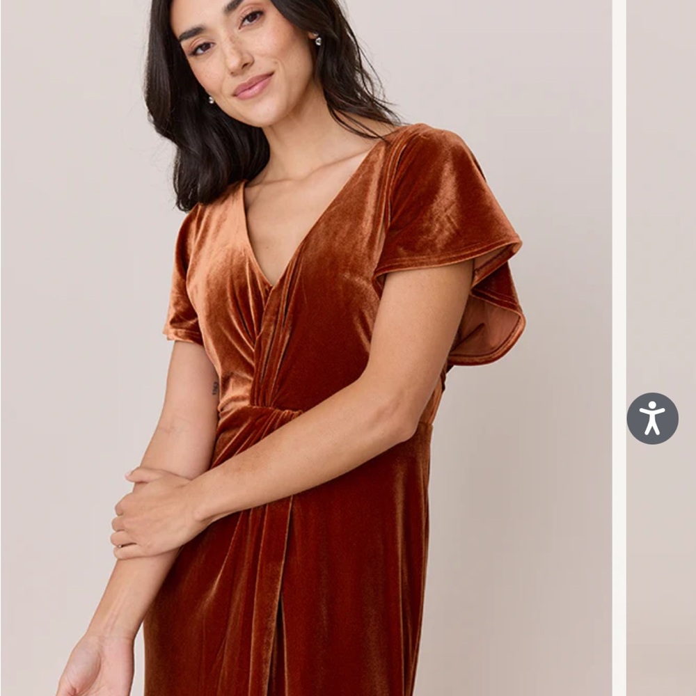 Revelry Velvet Dress in Rust